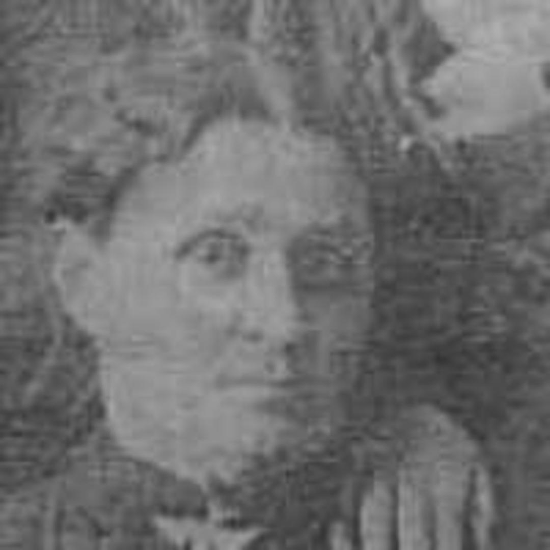 Rebecca Maisey (1854 - 1907) Profile